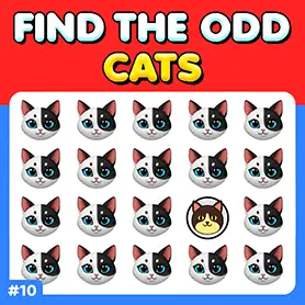 Play Odd One Out Game: Cats 10