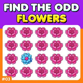 Play Odd One Out Puzzle: Flowers 3