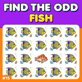 Play The Different One Challenge: Fish 15